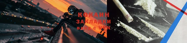 трава Сатка
