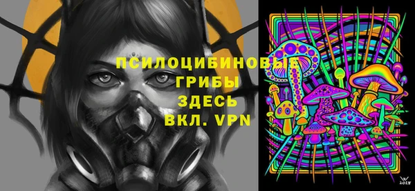 соль ск Медногорск