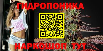 альфа пвп Аргун