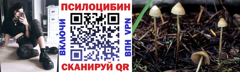 Галлюциногенные грибы ЛСД  цены наркотик  Курчатов 