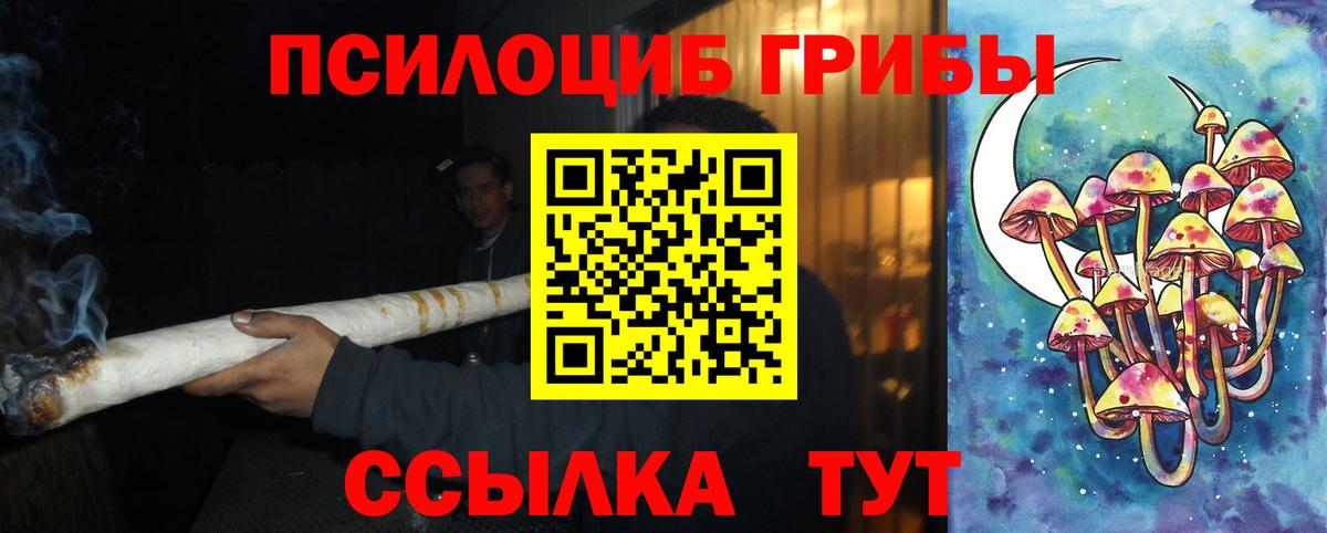 Псилоцибиновые грибы мицелий  Вход с VPN  Курчатов  Галлюциногенные грибы Psilocybine cubensis 