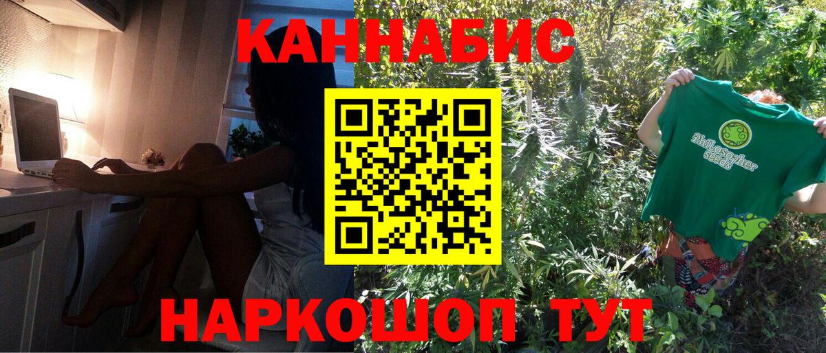 Шишки марихуана план Курчатов